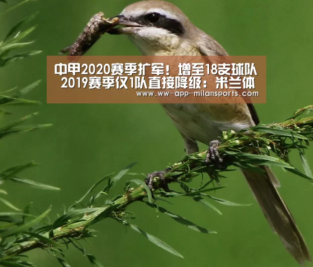 米兰体育全站下载