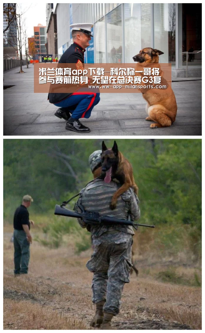 米兰体育app官网